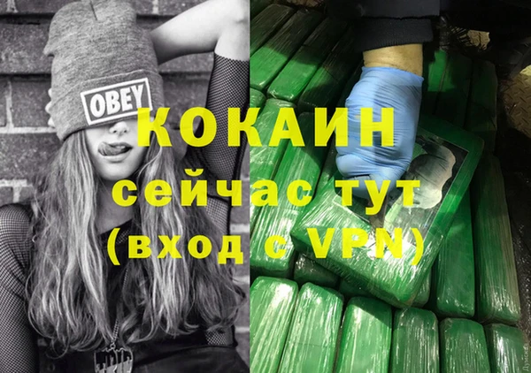 амф Дмитриев