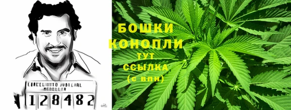 амф Дмитриев