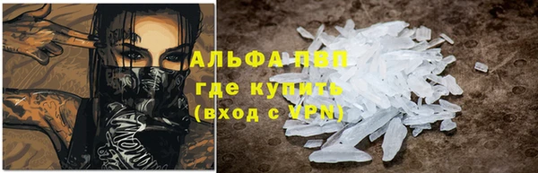 амф Дмитриев