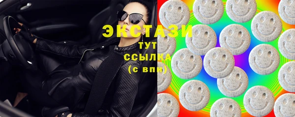 СК Бердск