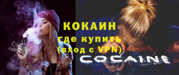 амф Дмитриев