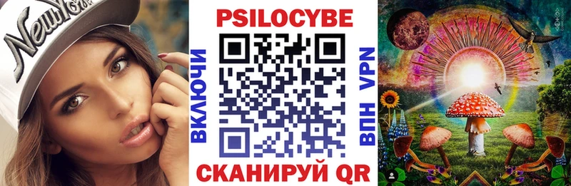 Псилоцибиновые грибы Magic Shrooms  наркота  Дмитровск 